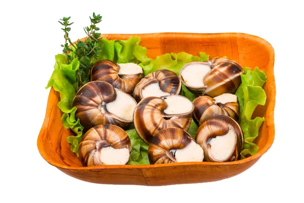 Escargot — Stock Photo, Image