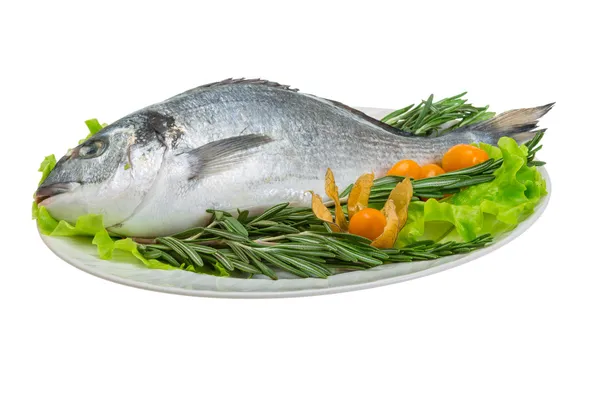 Raw dorada — Stock Photo, Image