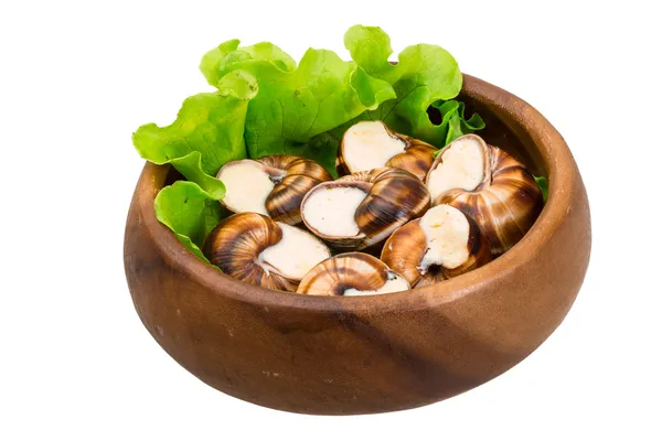 Escargot — Stock Photo, Image