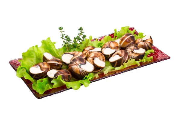 Escargot — Stock Photo, Image