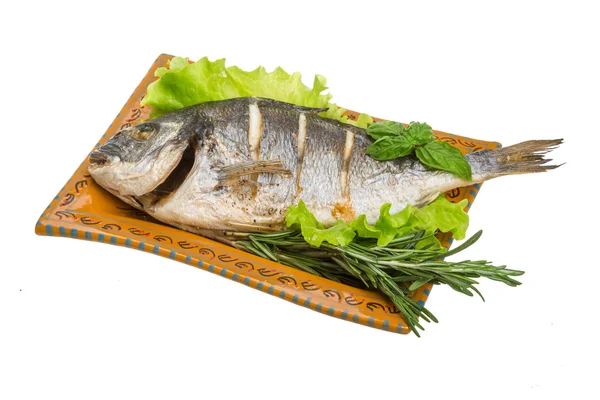 Grilled dorada — Stock Photo, Image