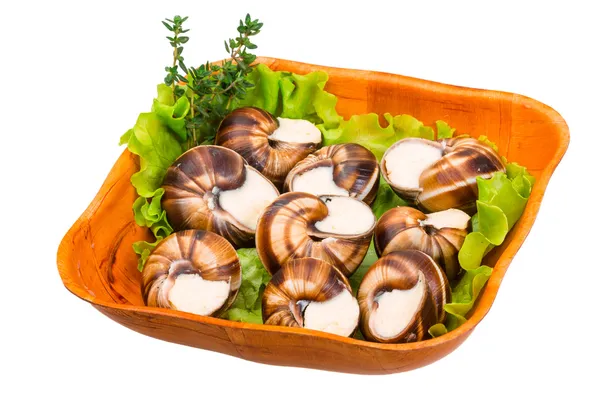 Escargot. — Foto de Stock