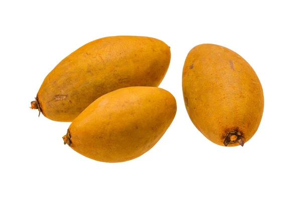 Manilkara zapota — Foto Stock