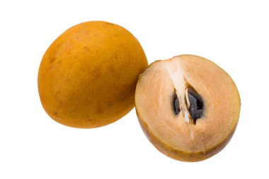 beyaz üzerine sapodilla