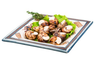 peynir soslu enginar