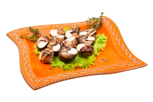 Escargot con salsa de queso —  Fotos de Stock