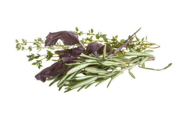 Herbs — Stock Photo, Image