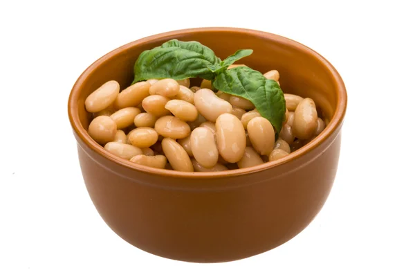 Fagioli in scatola — Foto Stock