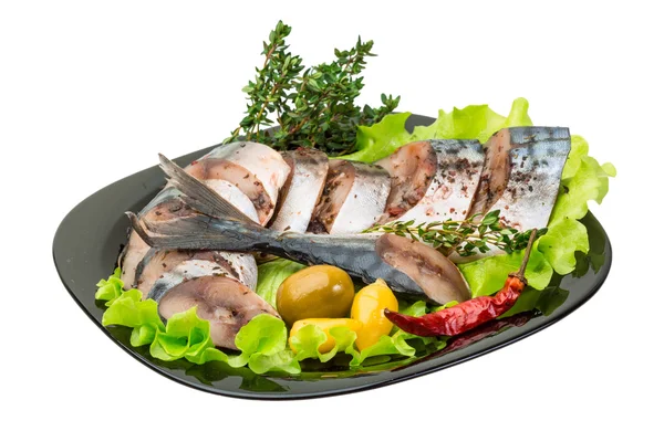 Mackerels — Stok fotoğraf