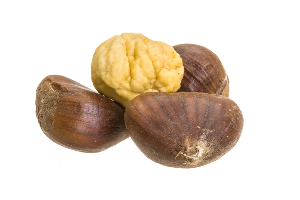 Chestnut — Stock Photo, Image