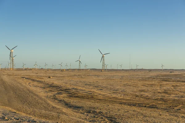 Wind farm — Stock Photo, Image