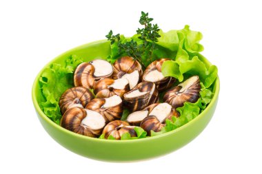 salyangoz