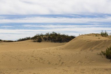 Maspalomas Duna - Kanarya adası Büyük Kanarya Çölü