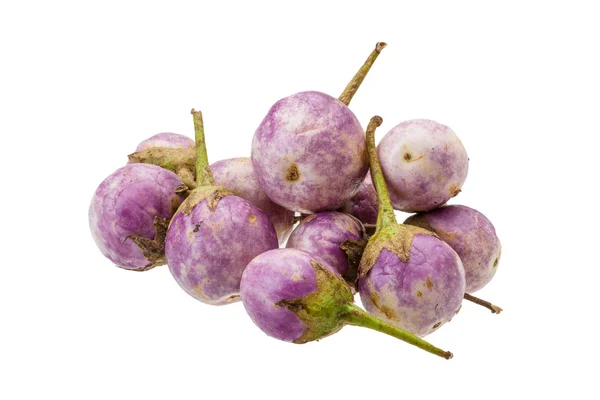 Azjatycki bakłażan fioletowy — Zdjęcie stockowe