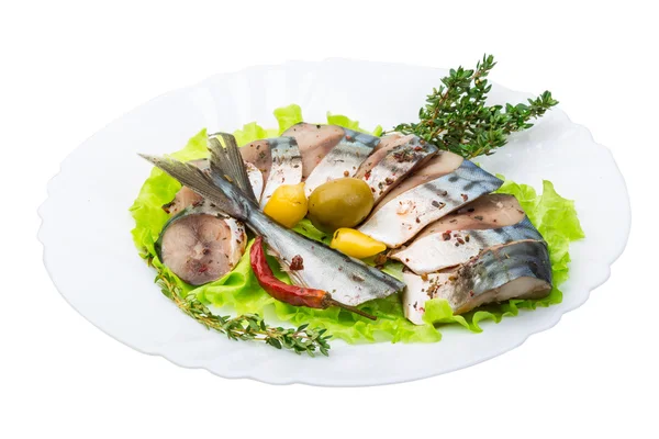 Mackerels — Stok fotoğraf