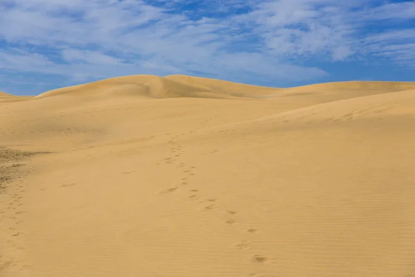 Maspalomas Duna - Desert in Canary island Gran Canaria — Stock Photo, Image