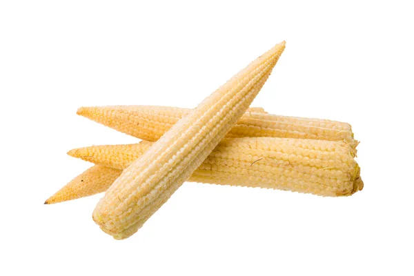 Baby corn — Stock Photo, Image