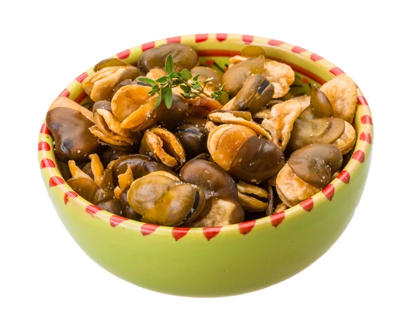 Fagioli larghi — Foto Stock