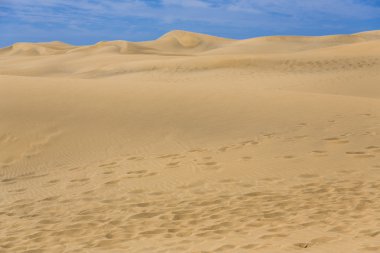 Maspalomas Duna - Kanarya adası Büyük Kanarya Çölü