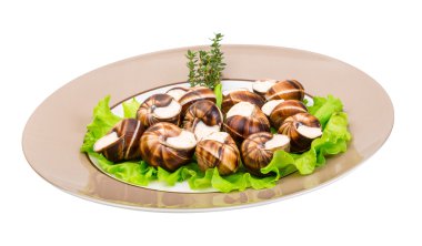salyangoz