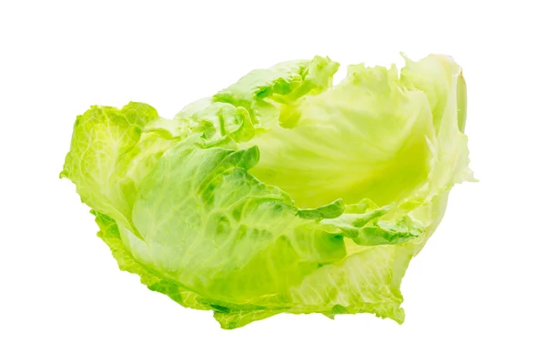 Iceberg salad — Stock Photo, Image