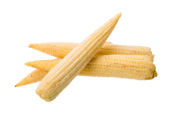 Baby corn — Stock Photo, Image