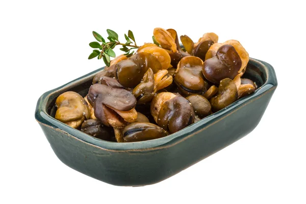 Fagioli larghi — Foto Stock