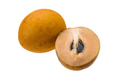 Sapodilla