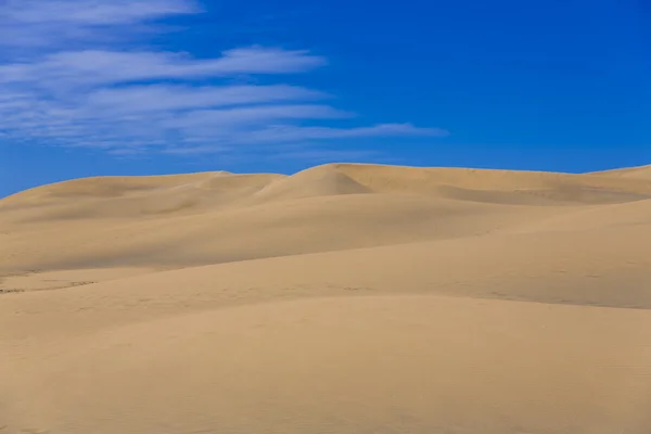 Maspalomas Duna - Пустыня на Канарском острове Гран-Канария — стоковое фото