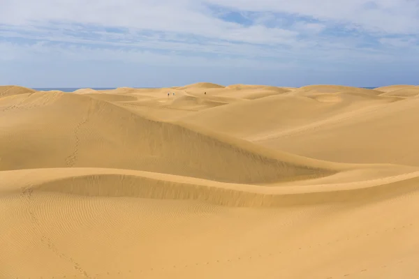 Maspalomas Duna - Woestijn op Canarische Eilanden Gran Canaria — Stockfoto