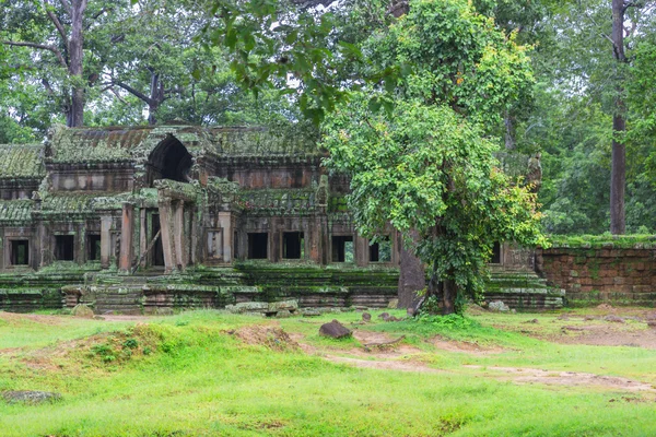 Angkor wat complexe — Stockfoto