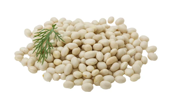 White dry beans — Stock Photo, Image
