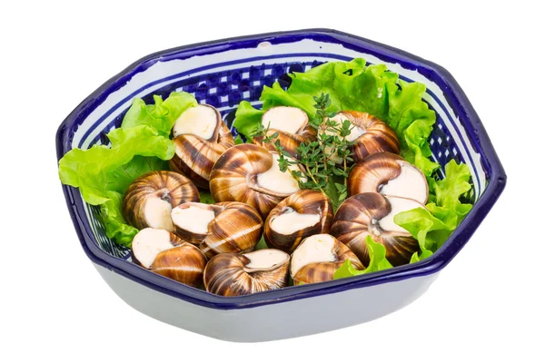 Escargot — Stockfoto