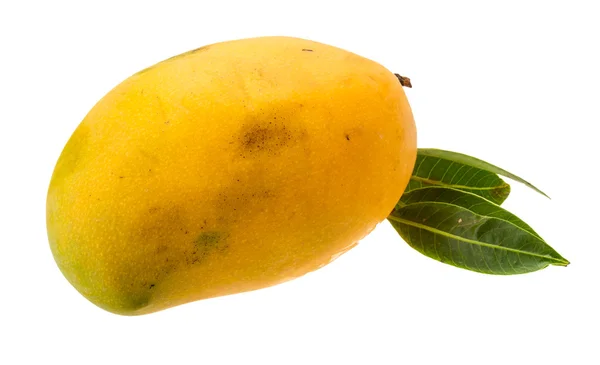 Желтый яркий манго — стоковое фото