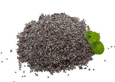 haşhaş tohumu