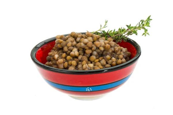 Backed lentils — Stock Photo, Image