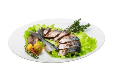 Mackerels