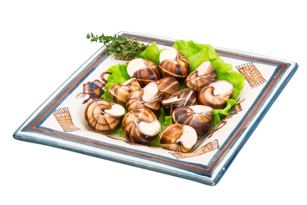 Escargot – stockfoto