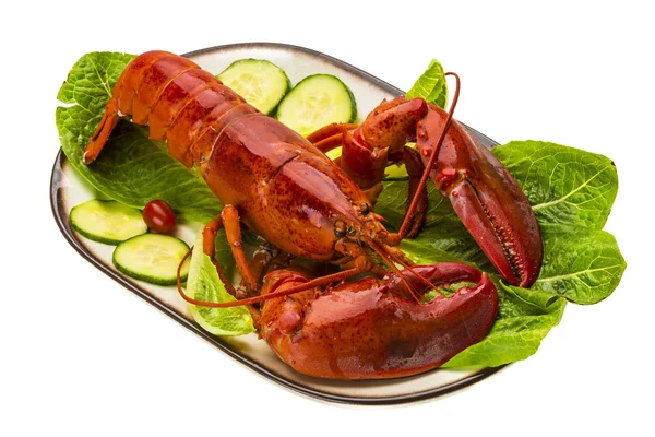 Large Lobster — Stock Photo, Image