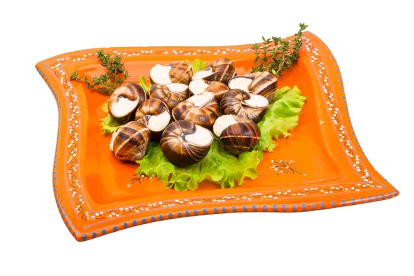 Escargot — Foto Stock