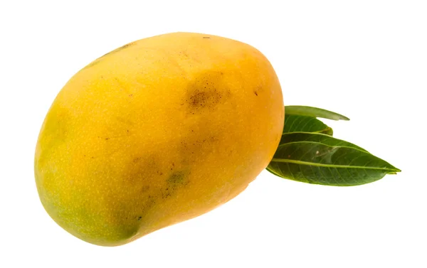 Żółty jasny mango — Zdjęcie stockowe