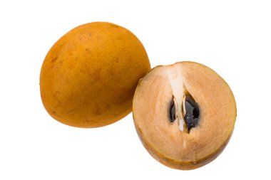 Sapodilla