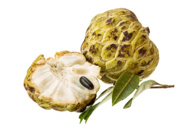 Annona.