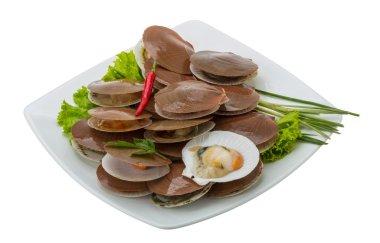 ham taze deniz tarağı