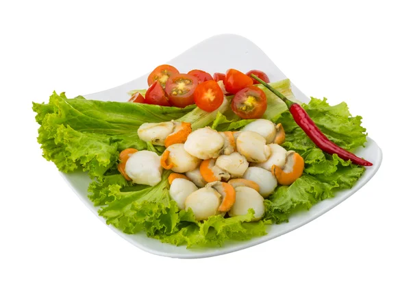 Scallops — Stock Photo, Image