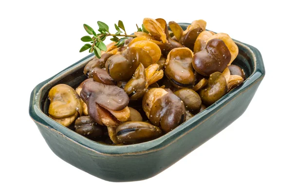 Fagioli larghi — Foto Stock