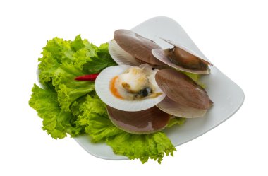 ham taze deniz tarağı