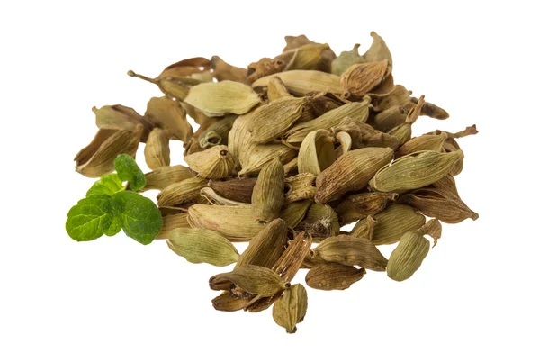 Cardamão — Fotografia de Stock