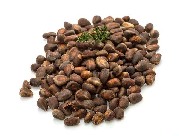 Cedar nut heap — Stock Photo, Image