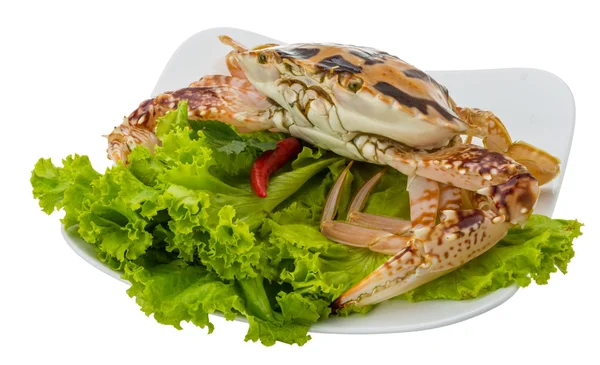 Raw red crab — Stock Photo, Image